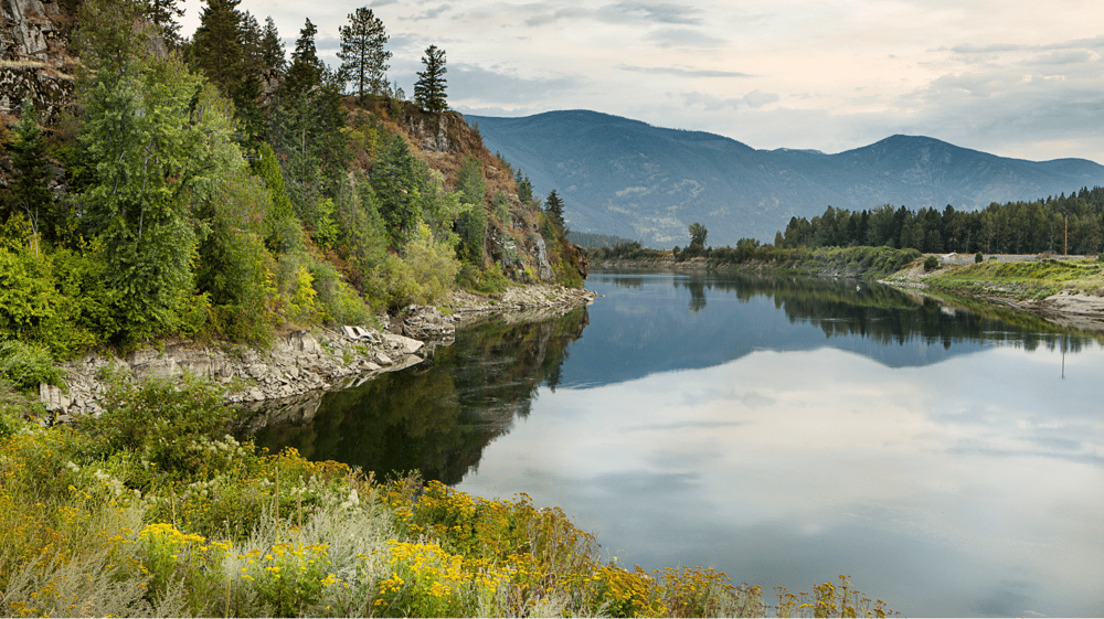 Idaho